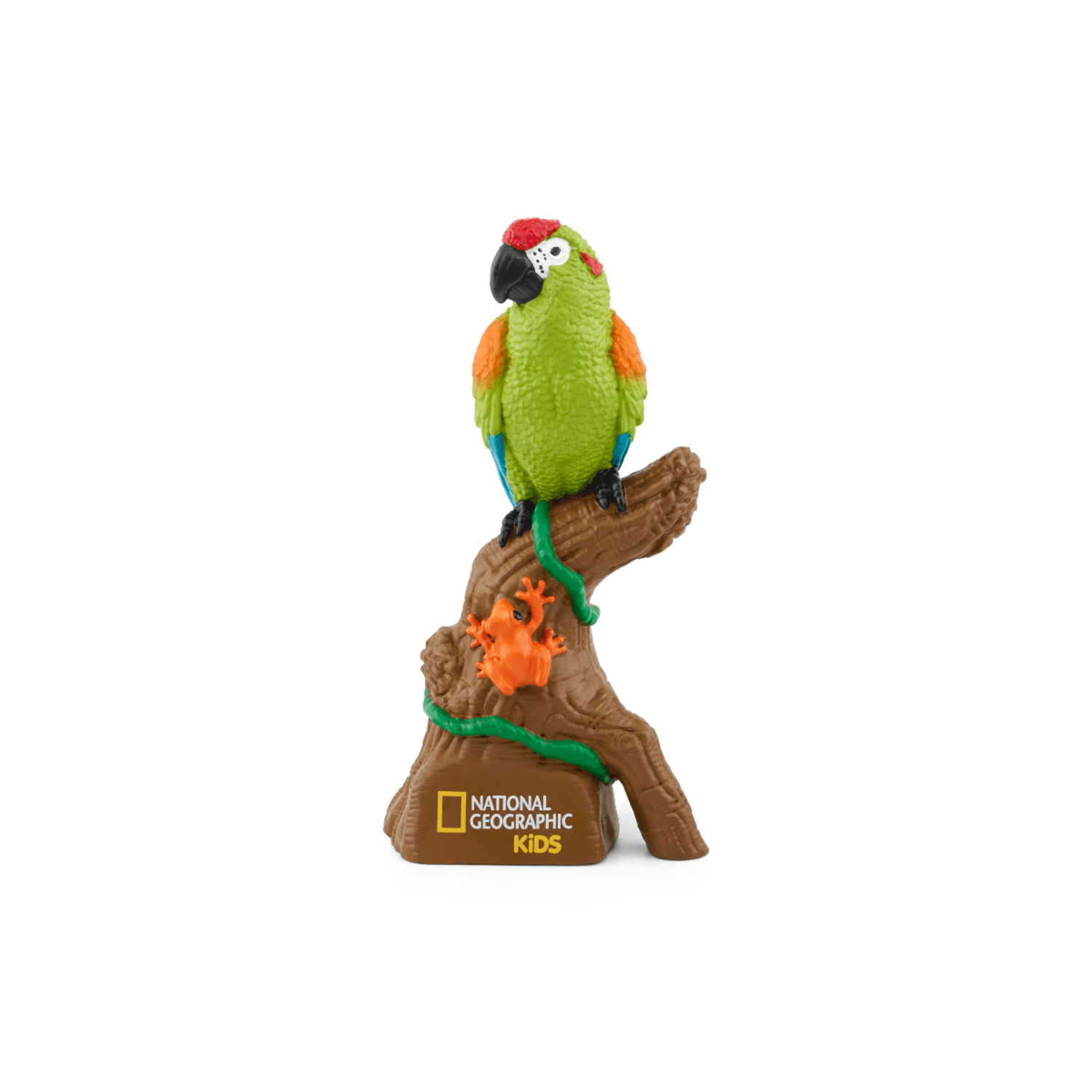 Amazon-Rainforest-11000271-PLPTB2MainImageTransparent.png