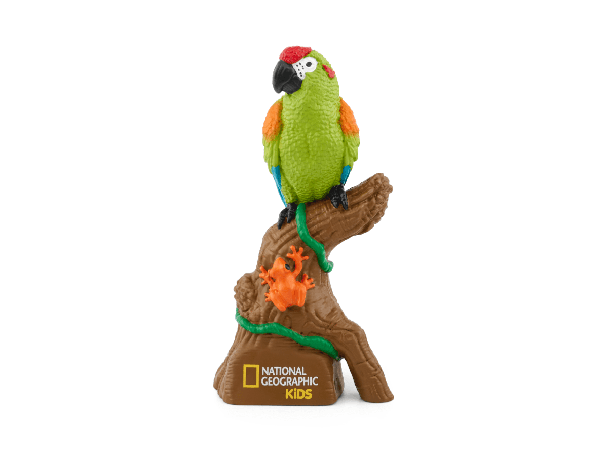 Amazon-Rainforest-11000271-TB2Hero2.png