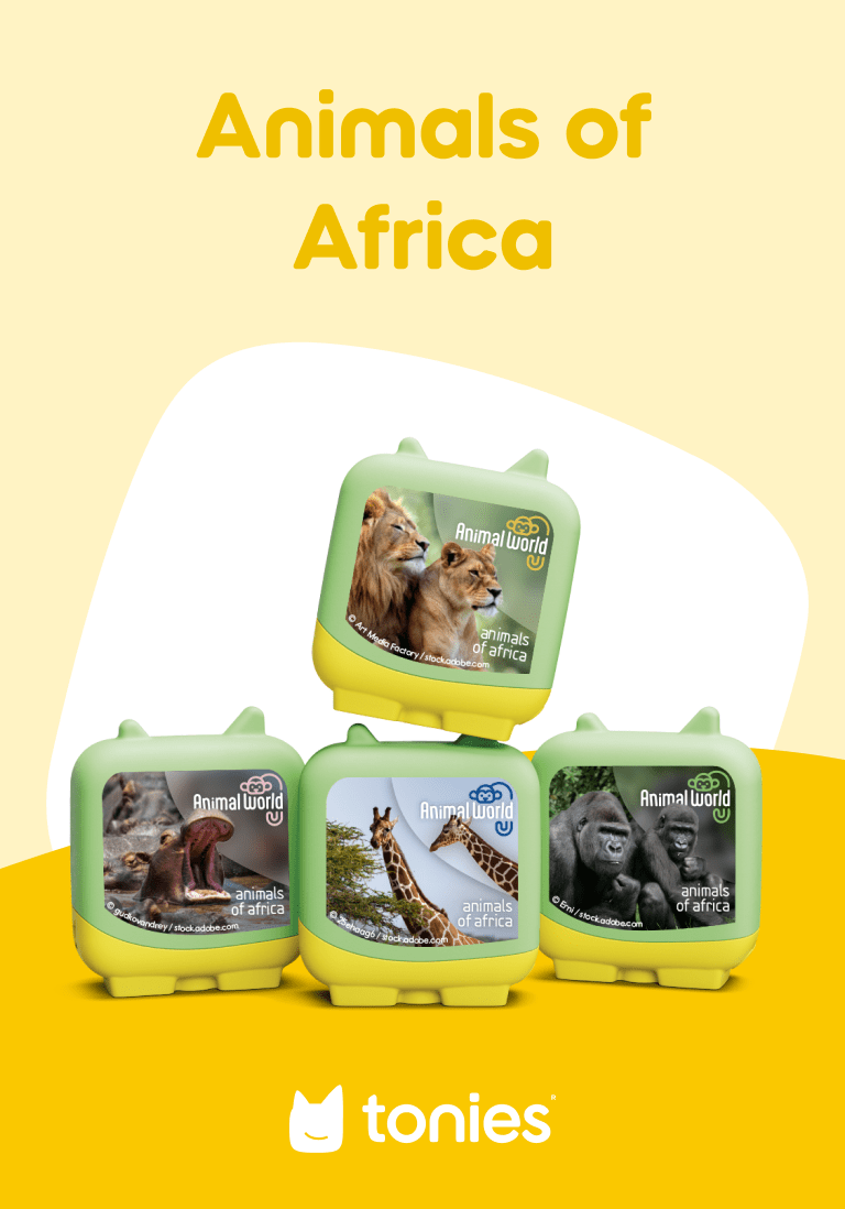 Animals-of-Africa-11001497-ContentCard.png