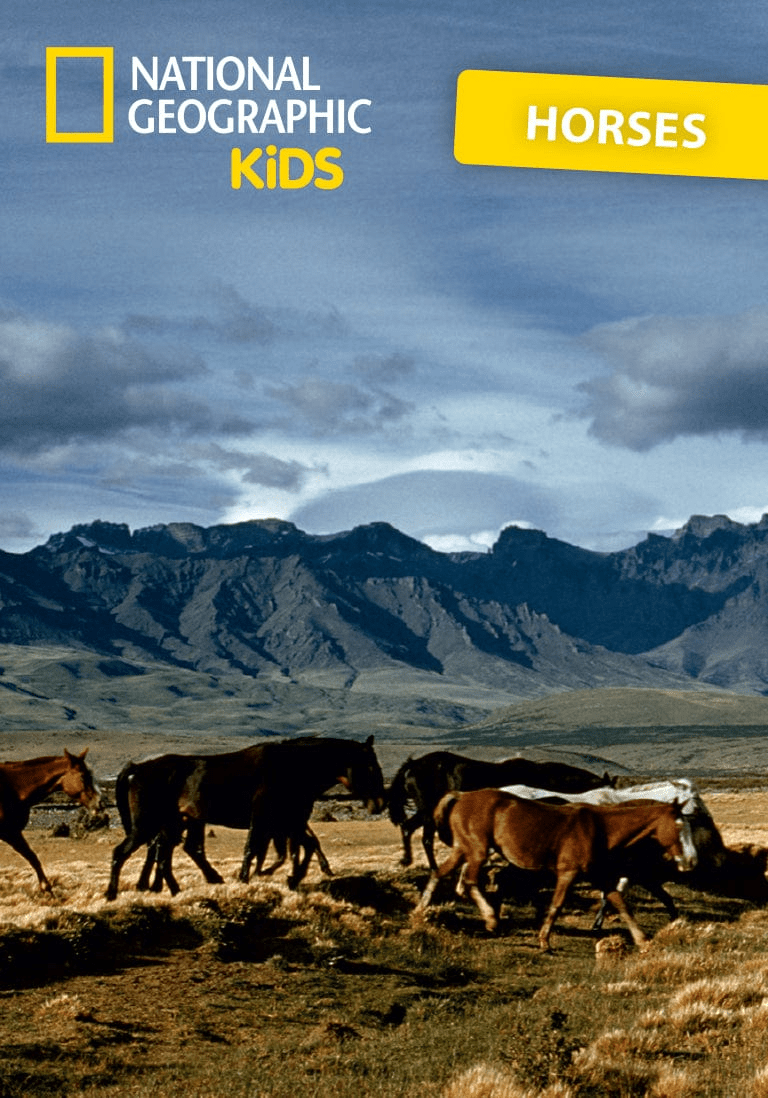 Horse-10000931-ContentCard.png
