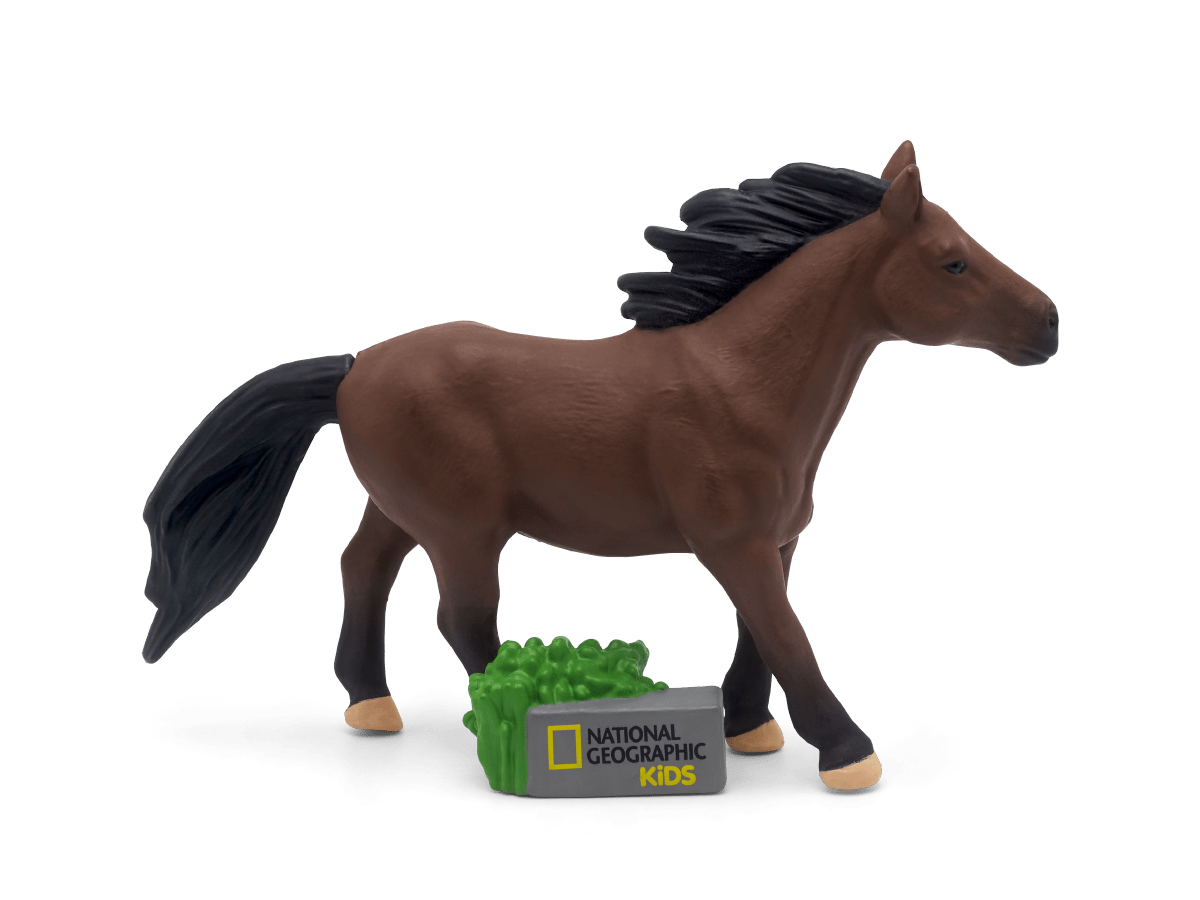 Horse-10000931-TB2MainImageTransparent.png
