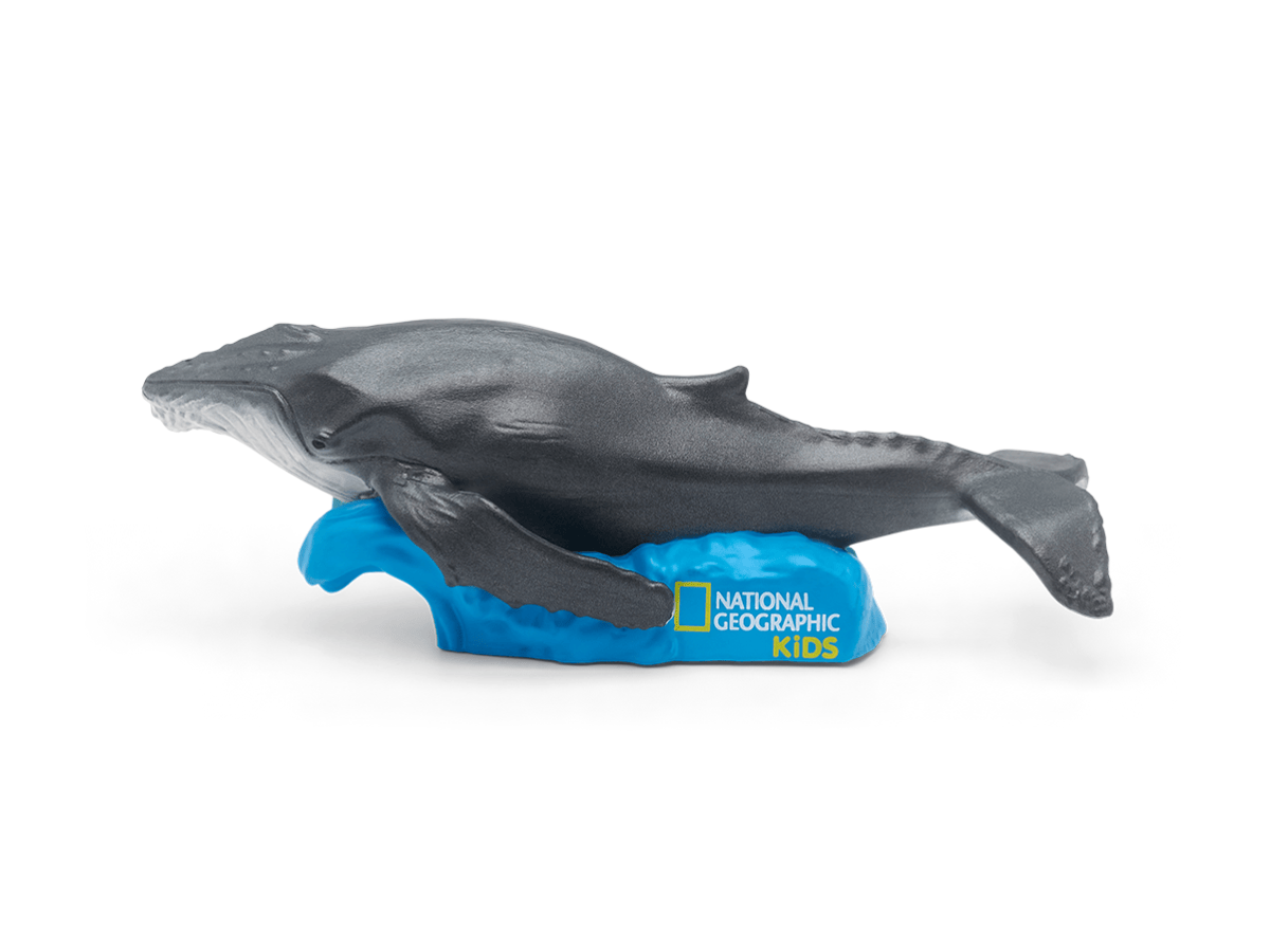 National-Geographic-Kids-Tonies-Set-ProductSetNATGEOSET1-TB2Hero5.png
