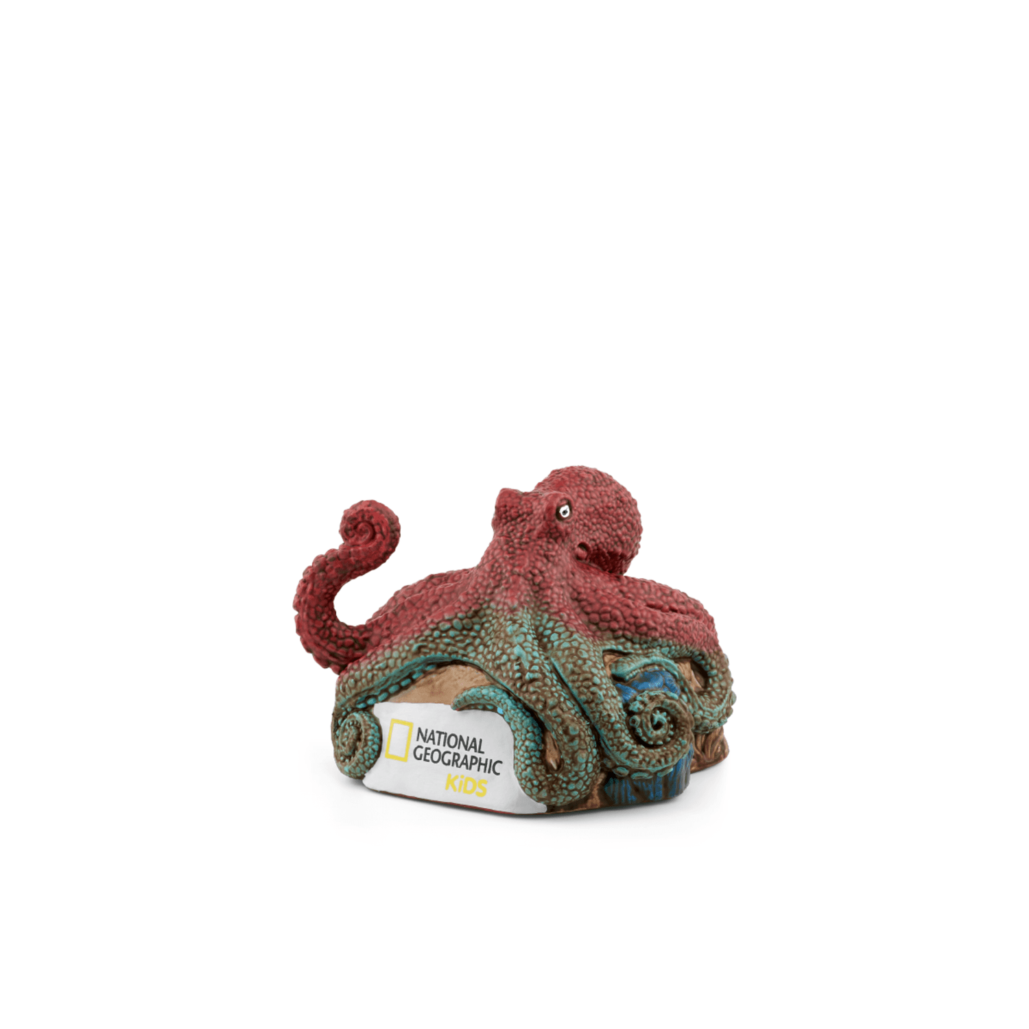 Octopus-11000441-PLPTB2MainImageTransparent.png