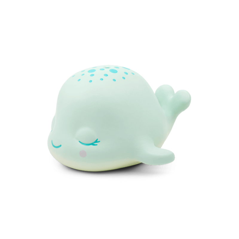 Sleepy-Whale-11001348-BundleTB2MainImageTransparent.png