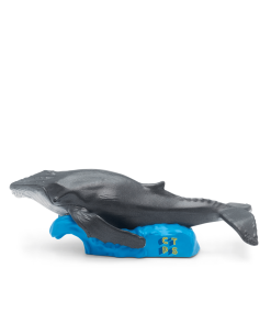National Geographic Kids: Whale Tonie